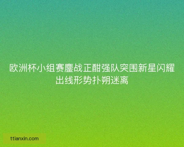 欧洲杯小组赛鏖战正酣强队突围新星闪耀出线形势扑朔迷离