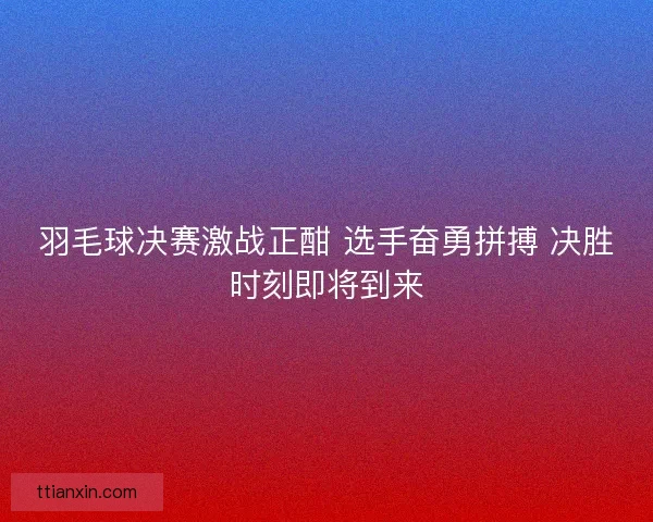 羽毛球决赛激战正酣 选手奋勇拼搏 决胜时刻即将到来 羽毛球决赛激战正酣 选手奋勇拼搏 决胜时刻即将到来