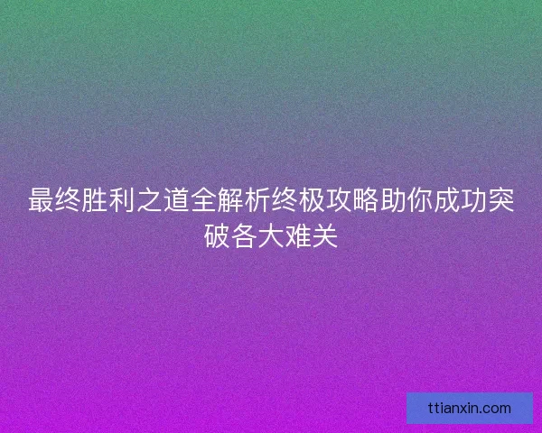 最终胜利之道全解析终极攻略助你成功突破各大难关